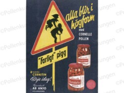 en reklam annons