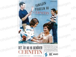en reklam annons