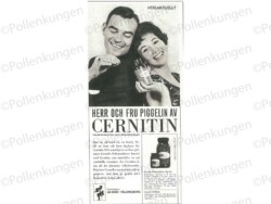 en reklam annons