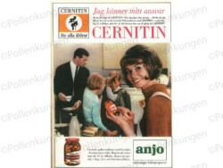 en reklam annons