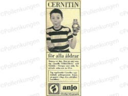 en reklam annons