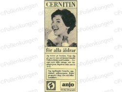 en reklam annons