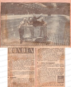 en gammal tidningsartikel om vegeholms isstadio
